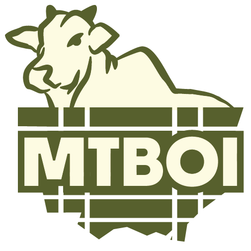 logo mtboi